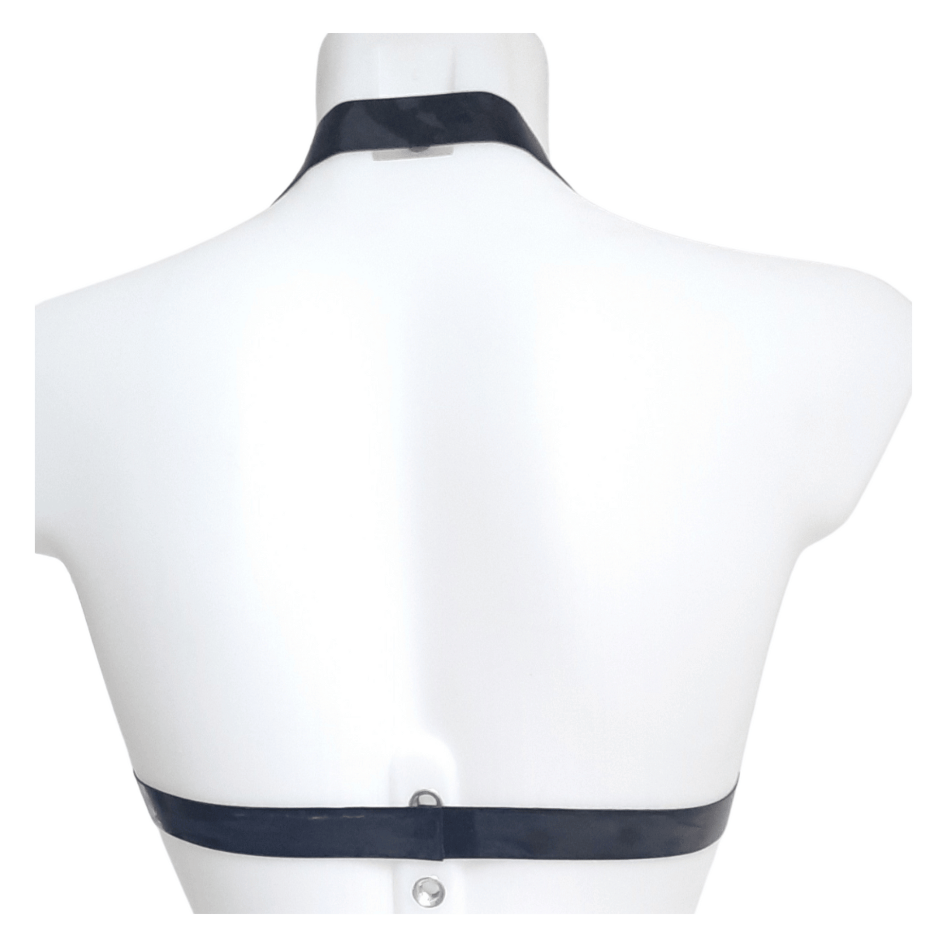 Back view showing black band & halter strap