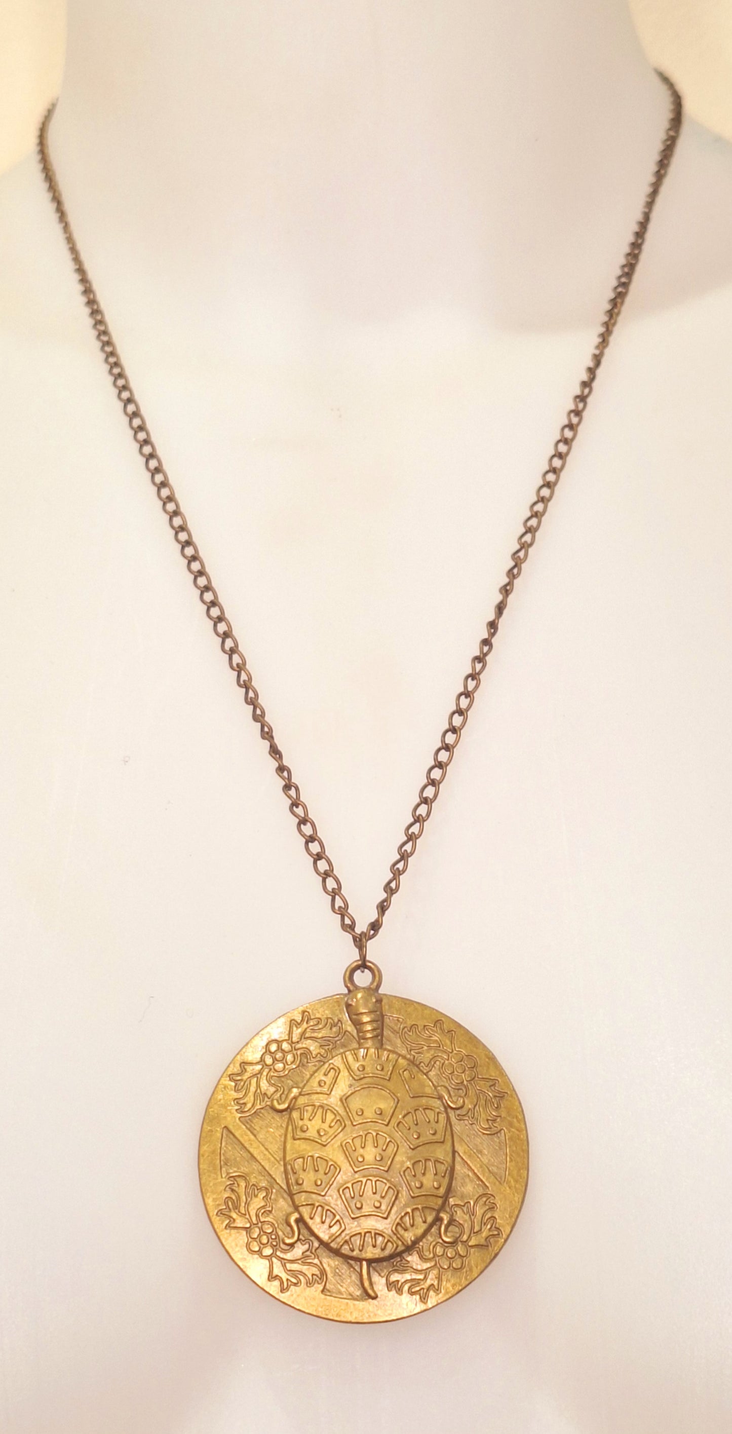 Big bronze turtle disc necklace. Long 22" chain.